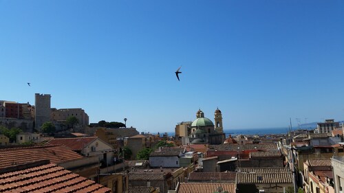 Ancient viewes of Cagliari