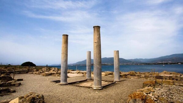 Ancient stone columns in a historical site with a coastal backdrop.