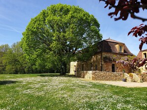 A stone house with a large tree in front, surrounded by a grassy field with white flowers.