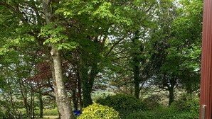 A round table set outdoors with white plates, cups, and a blue vase. - Holiday Cottage in Gulval Penzance Cornwall (Penzance Cornwall)