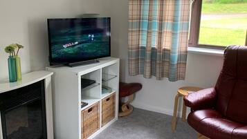 Smart-TV, Kamin, DVD-Player, Bücher