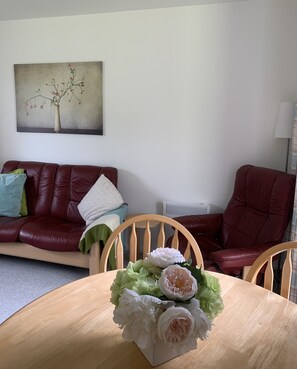 智能电视、壁炉、DVD 播放器、书