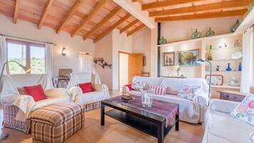 Télévision, cheminée