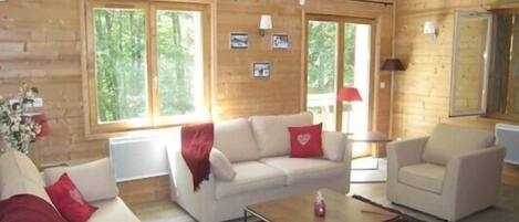 Téléviseur connecté, foyer, lecteur de DVD, livres