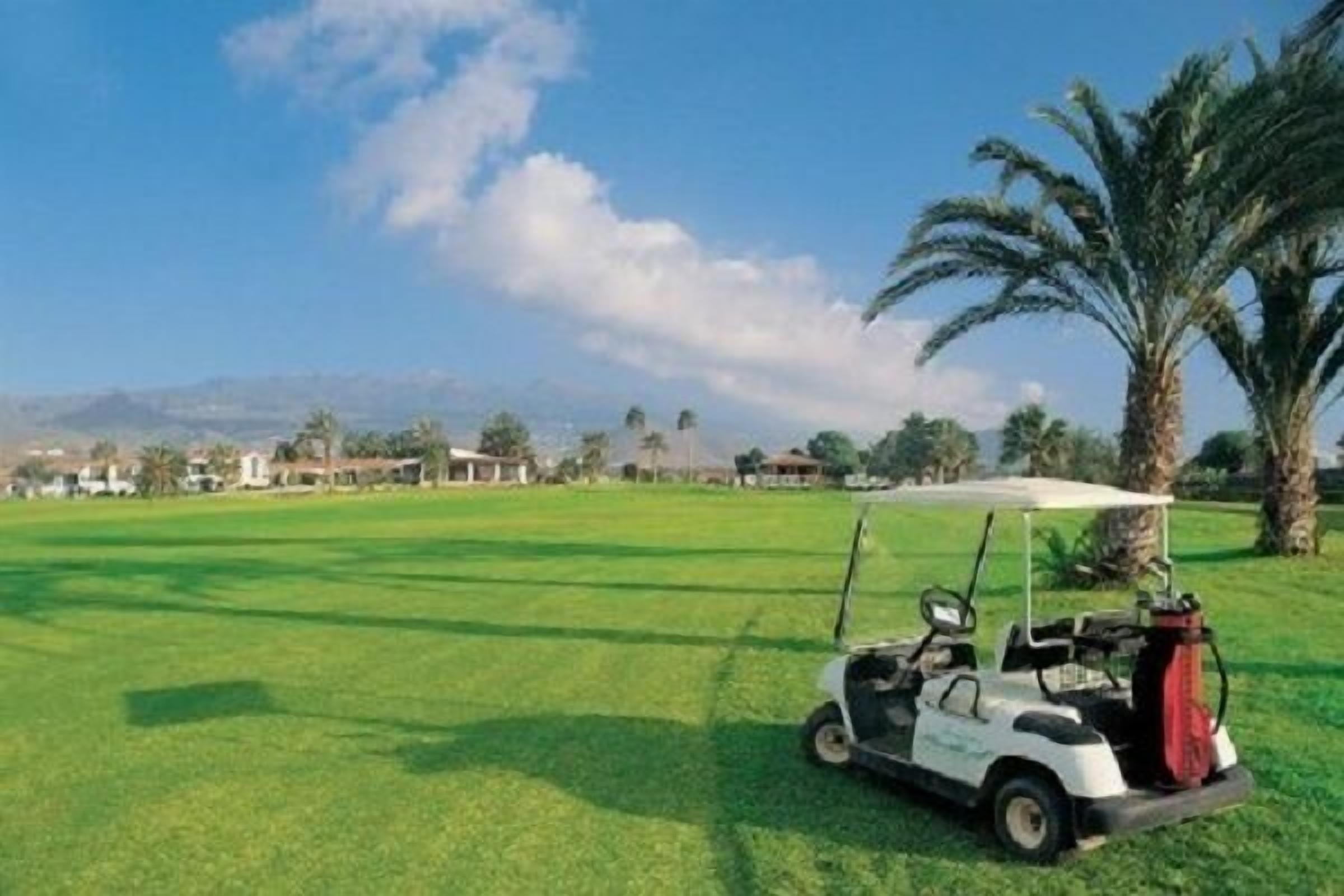 Un carrito de golf sobre un césped bien cuidado, con palmeras y casas al fondo.