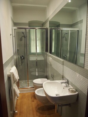 Shower, hair dryer, towels