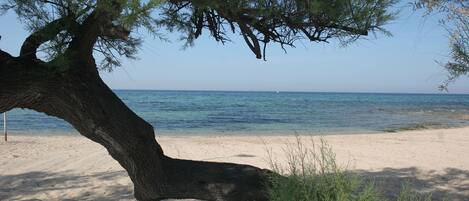 Vlak bij het strand