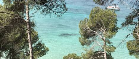 Gandules de platja i tovalloles de platja