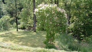 A grassy outdoor area with trees and a bench.