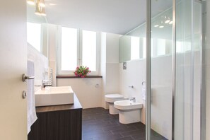 Shower, hair dryer, bidet, towels