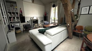 TV, fireplace, DVD player, books