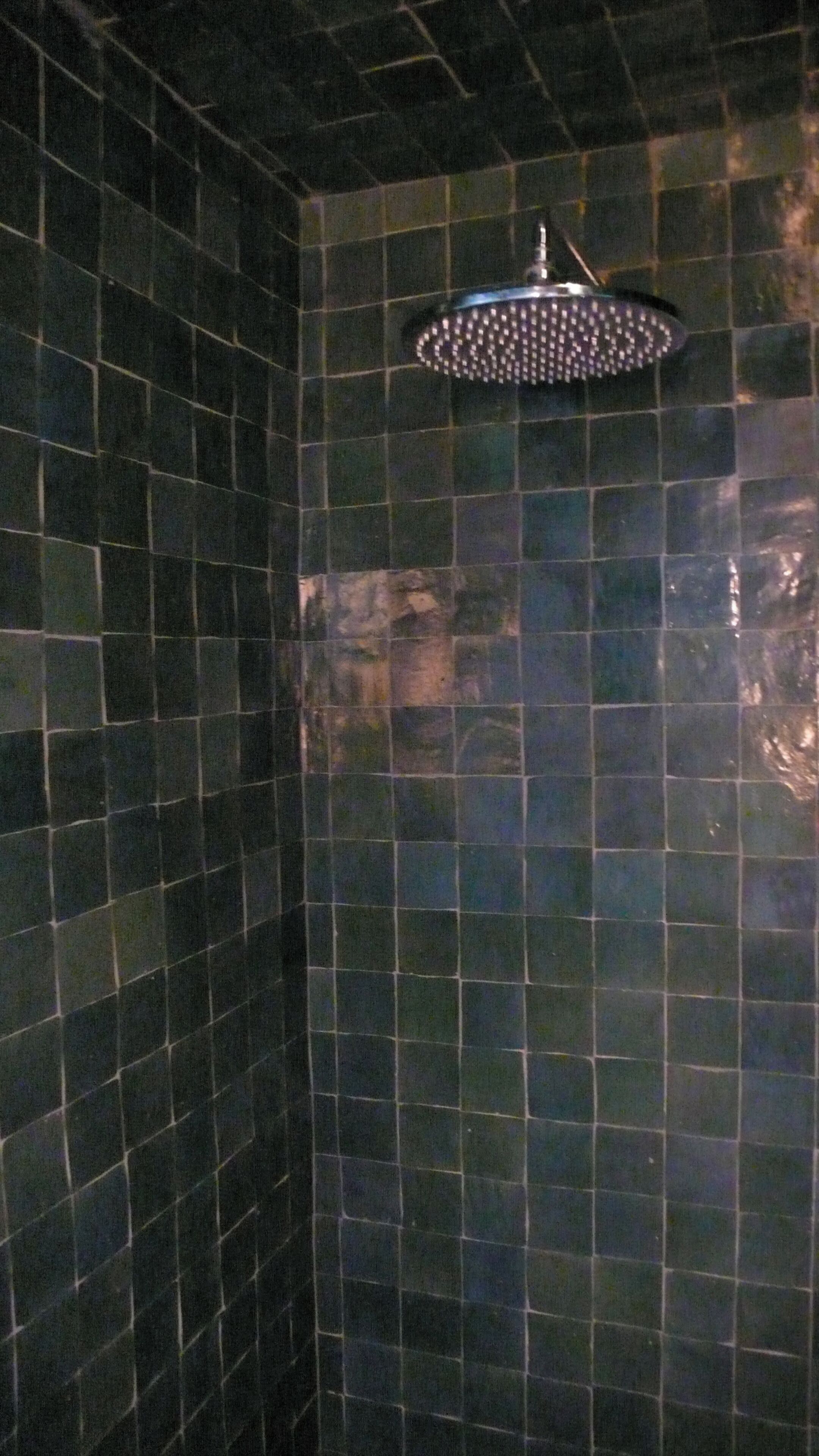 A tiled shower area with a showerhead.