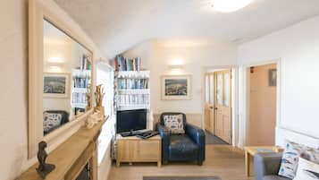 TV, fireplace, books