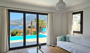 TV, DVD player, video library, stereo