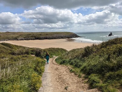Stunning rural cottage central to all Pembrokeshire beaches. Dogs Free. Wifi