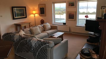 Smart TV, fireplace, DVD player, books