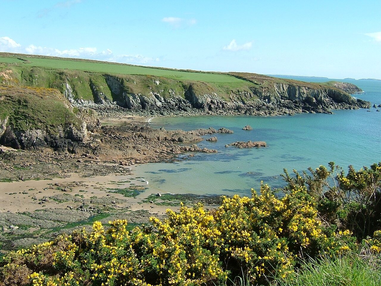 Un paysage côtier avec des falaises, une plage et des arbustes à fleurs jaunes.