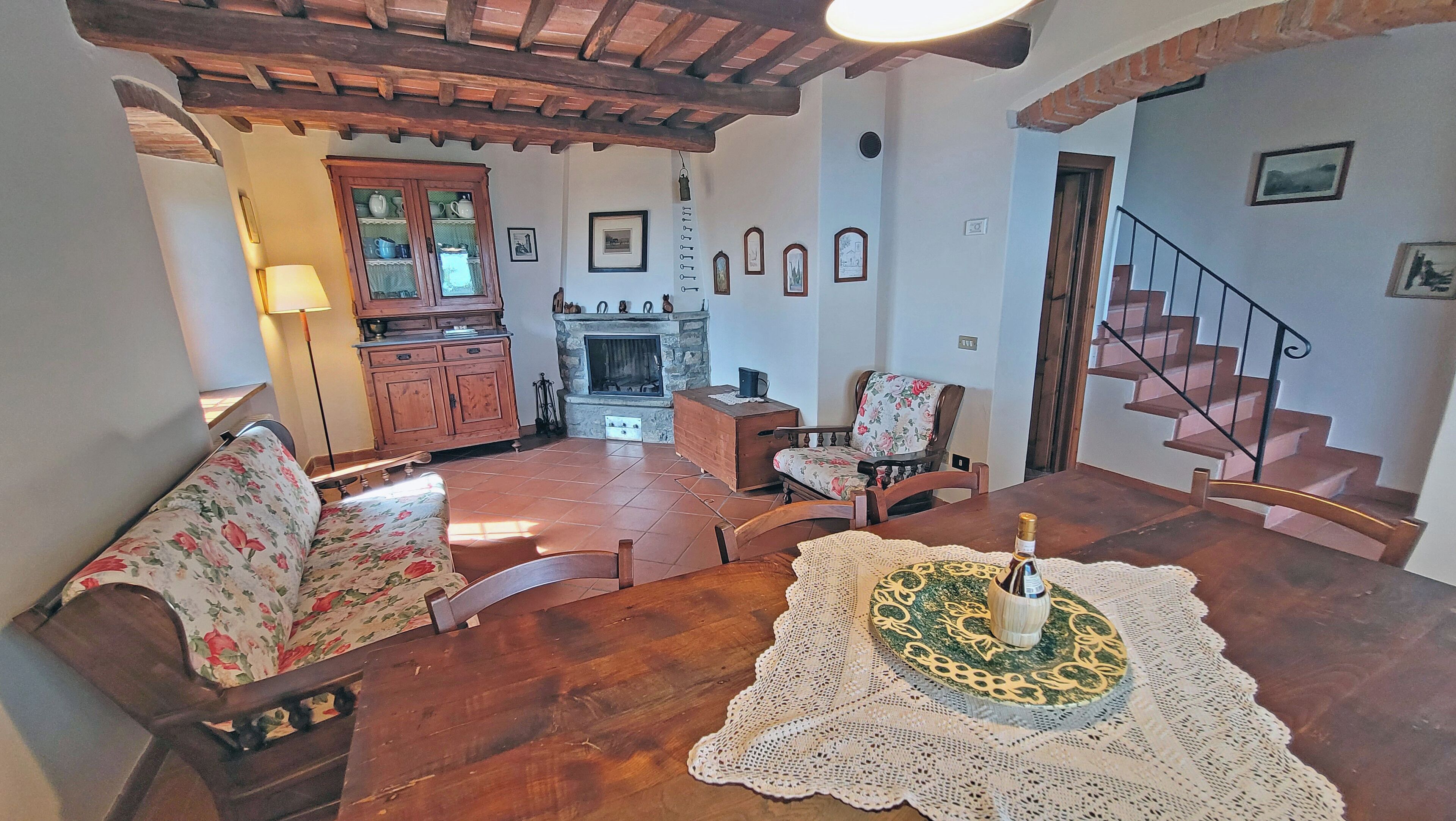 TV, fireplace, DVD player, books