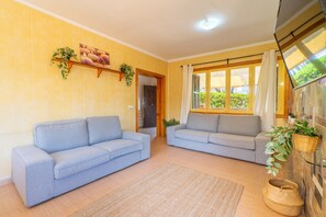 TV, fireplace, table tennis