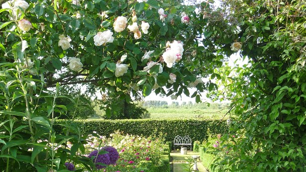 A garden with a variety of flowers and a hedge in the background. - Characterful Stone Cottage with lovely views over the Surrounding Countryside (Ross-on Wye)
