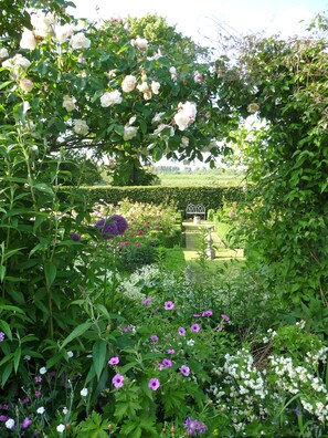 Ein Garten mit verschiedenen Blumen und einer Hecke im Hintergrund.