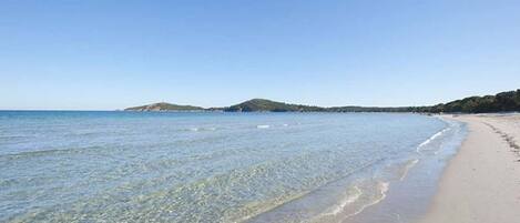 海灘