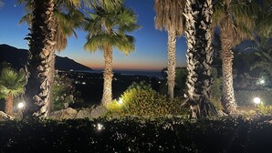 A nighttime view of palm trees and a distant mountain range.