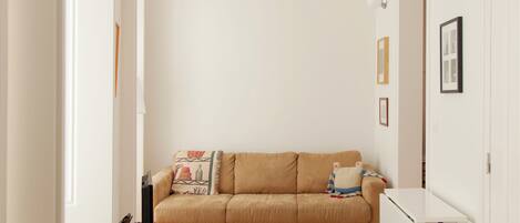 Smart TV, DVD player, books