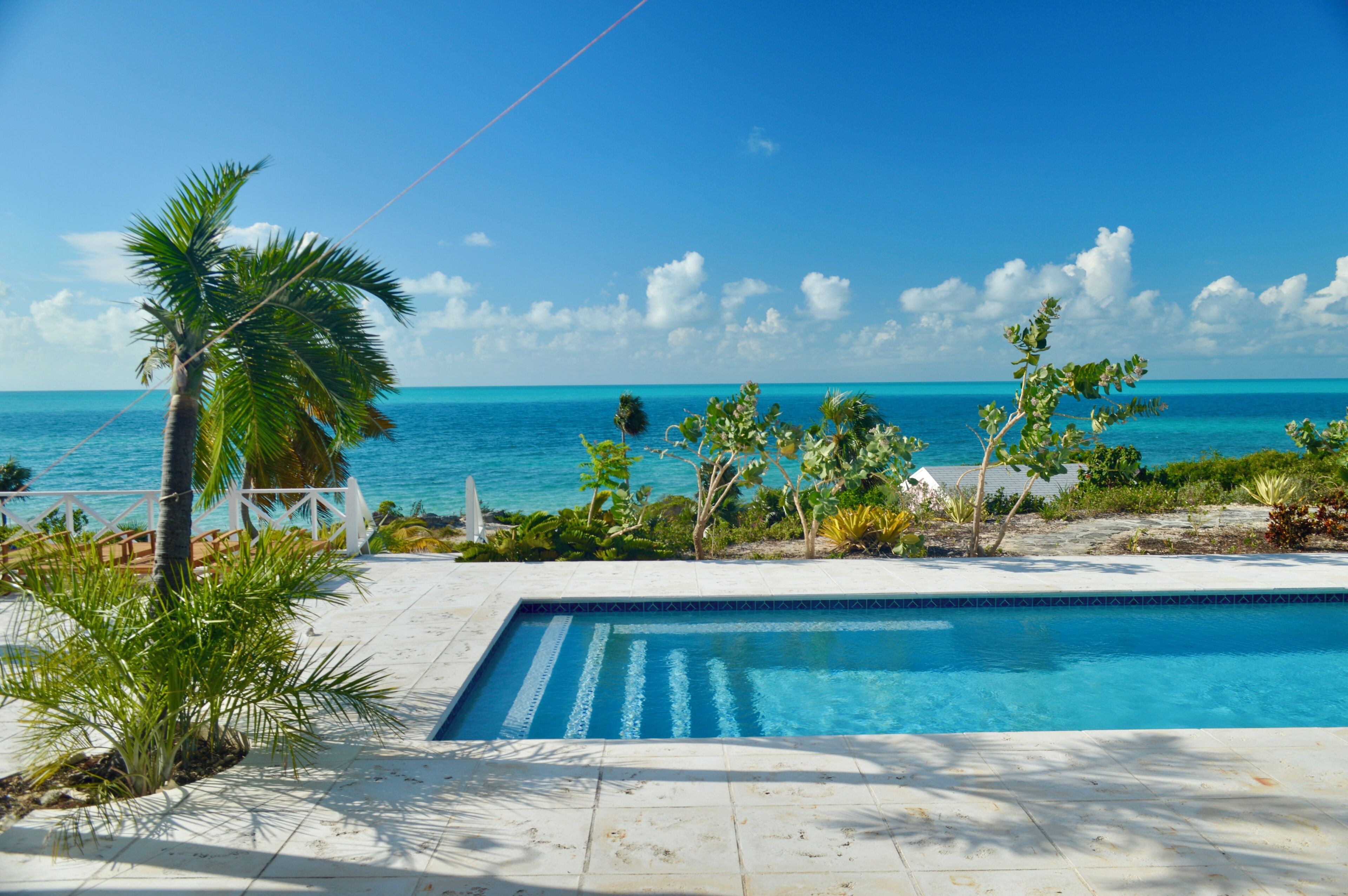 A swimming pool with a view of the ocean and palm trees.