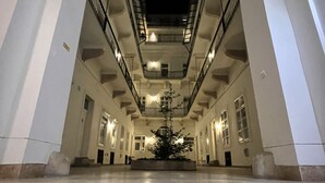 A spacious corridor with high ceilings and a central plant. - Kis Aldebaran Apartment: a little jewel in the center !! (Budapest)