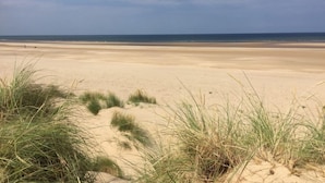 A beach with sand dunes and sparse vegetation.