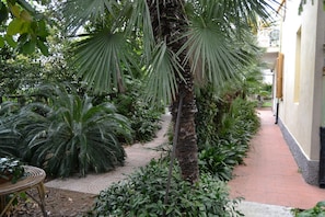 Property grounds - RELAX AT THE SEA - Bike & Beach (citra 008059-LT-0097)cin It008059C2YPSJDI20 (Arma di Taggia)