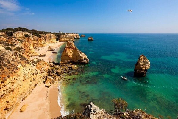 Enjoy the serene coastal landscape with its natural rock formations and wildlife.
