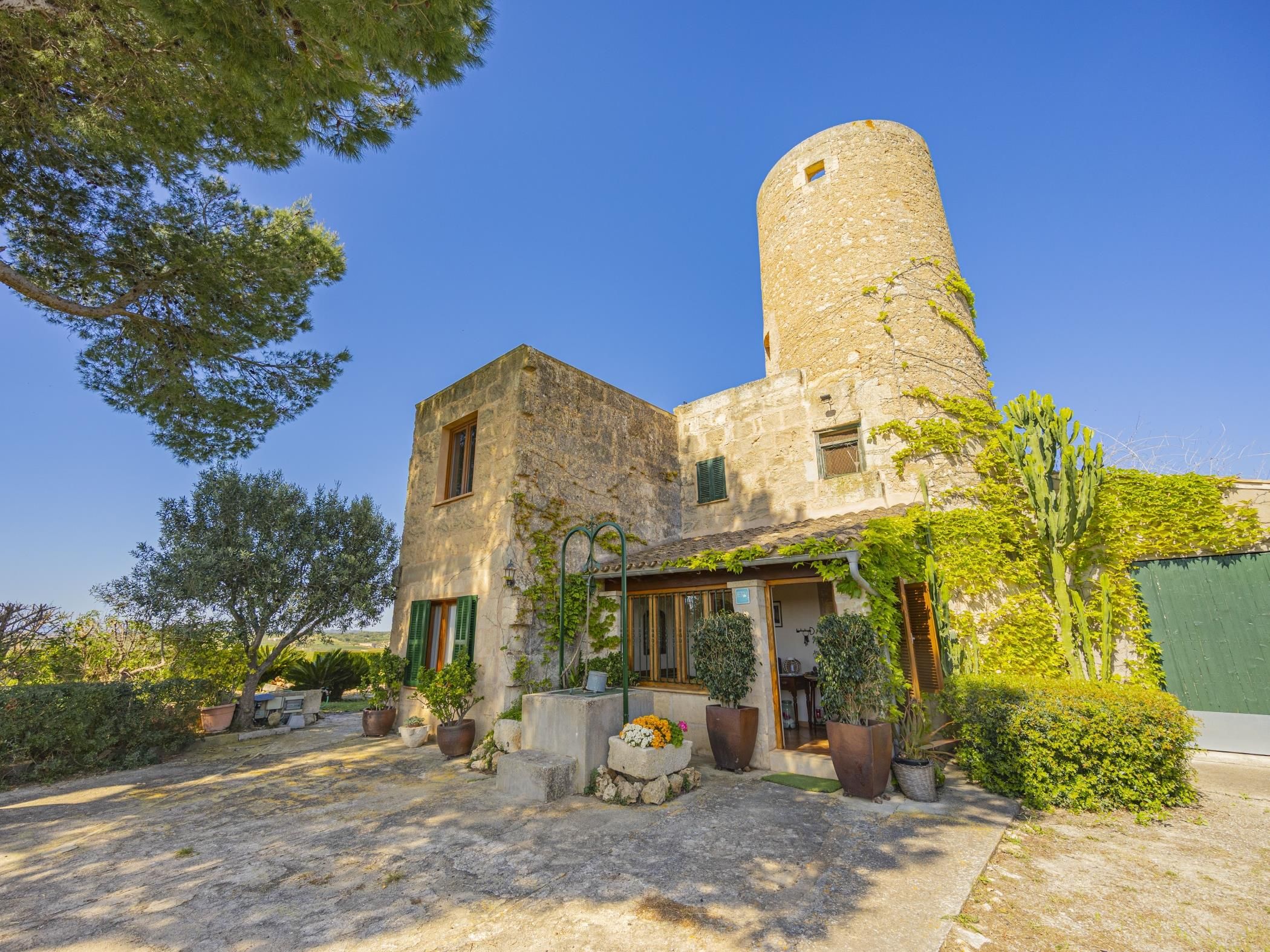 A stone building with a tower, potted plants, and a clear sky.