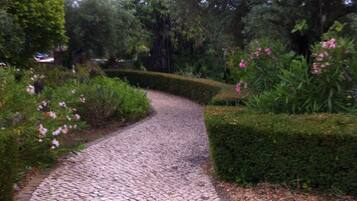 Terrein van de accommodatie