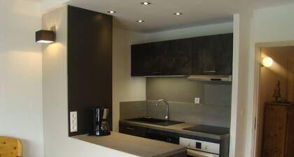 Luxuswohnung TIGNES LE LAC 2100m Bec Rouge 53 m2