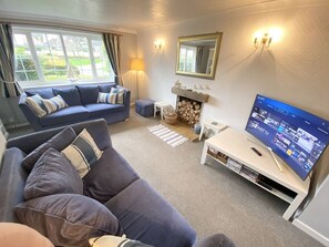Smart-TV, DVD-Player, Bücher