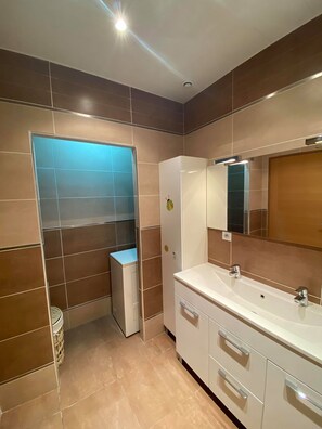 A modern bathroom with a large mirror, white vanity, and a blue-tiled shower enclosure. - ARRAS BEAUTIFUL HOUSE, LARGE TERRACE WITH VIEW ON VERY NICE PARK (Arras)