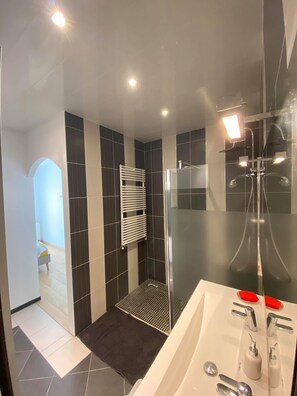 Combined shower/tub, hair dryer, towels - ARRAS BEAUTIFUL HOUSE, LARGE TERRACE WITH VIEW ON VERY NICE PARK (Arras)