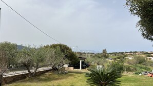 Zona residencial con césped, una palmera y un muro de piedra.