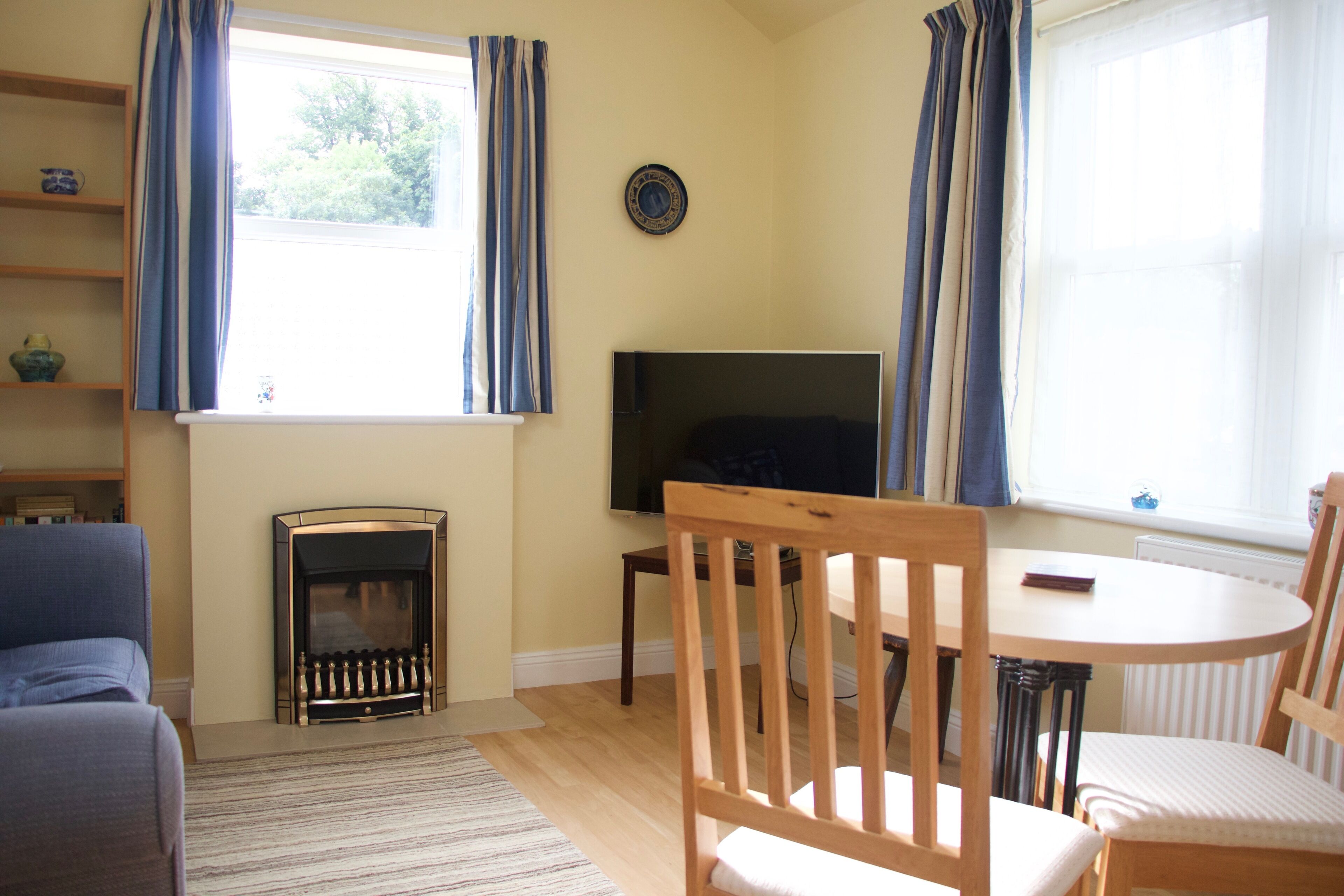 TV, fireplace, DVD player