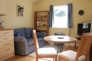 Een televisie, een open haard en een dvd-speler