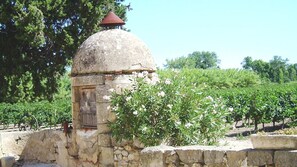 Property grounds - Near the sea , the quiet and the charm of " LA  FORGE" (Narbonne)