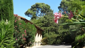 A garden with a variety of plants and flowers, a building with a tiled roof, and a clear blue sky. - Near the sea , the quiet and the charm of " LA  FORGE" (Narbonne)