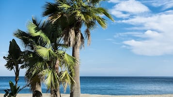 Accommodatie ligt op het strand