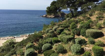Apartment/ flat - Bandol, Sea front, A/C, private parking place