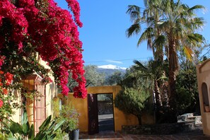 Exterior - Veleta - 2 double bedrooms with terrace, 2 bathrooms & roof terrace (Órgiva)