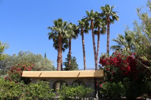 Property grounds - Veleta - 2 double bedrooms with terrace, 2 bathrooms & roof terrace (Órgiva)