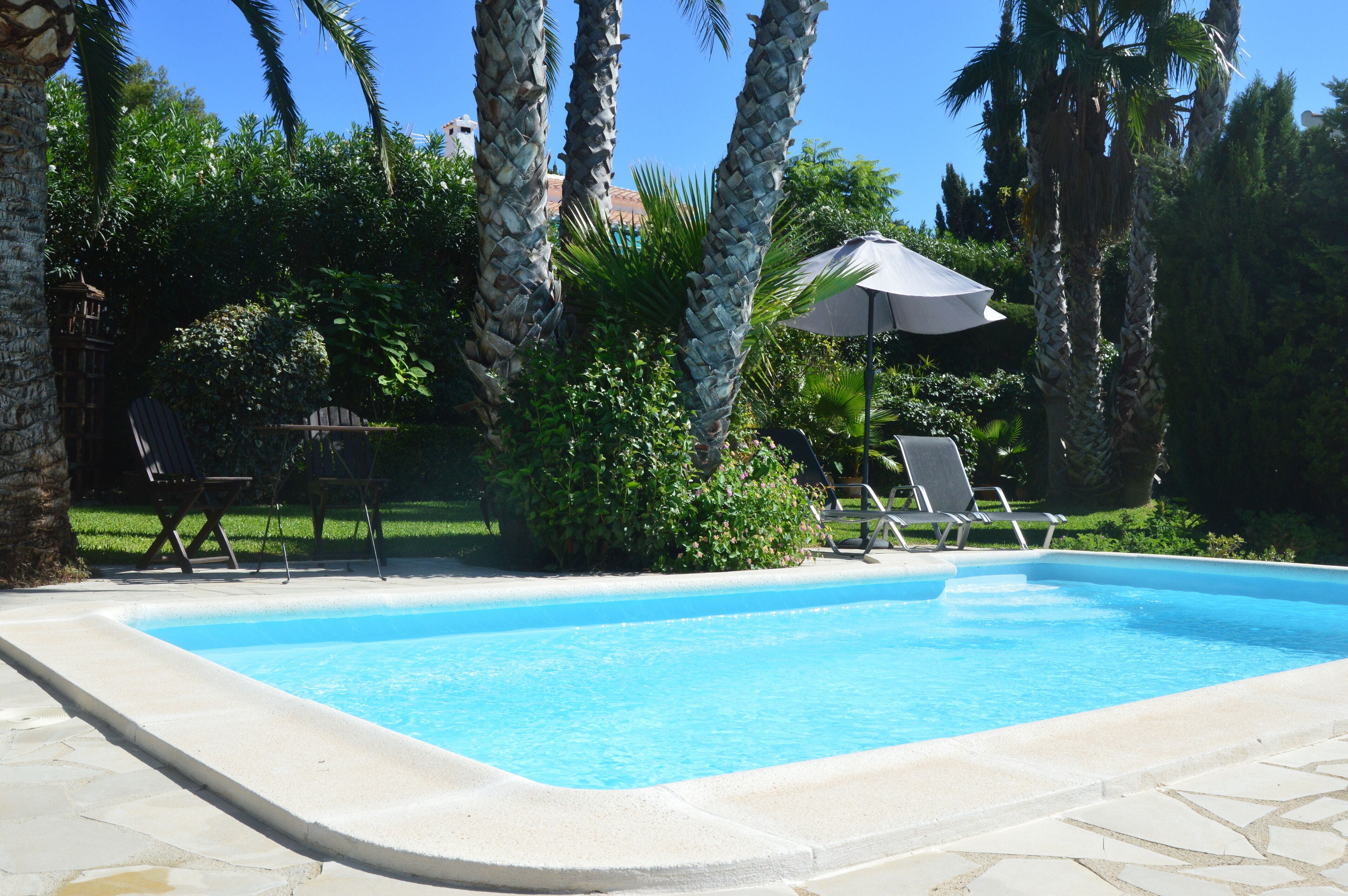 A swimming pool with lounge chairs and an umbrella, surrounded by palm trees and greenery.
