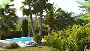 Una piscina rodeada de palmeras y vegetación.